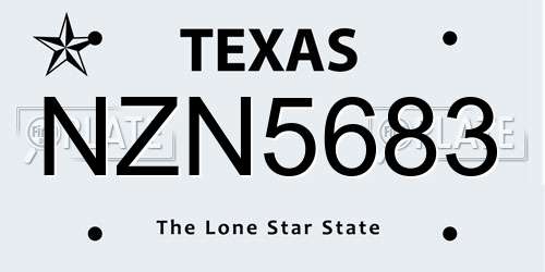 NZN5683 Texas License Plate