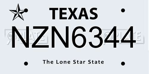 NZN6344 Texas License Plate