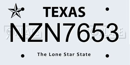 NZN7653 Texas License Plate