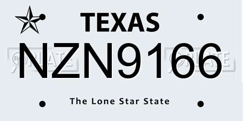 NZN9166 Texas License Plate