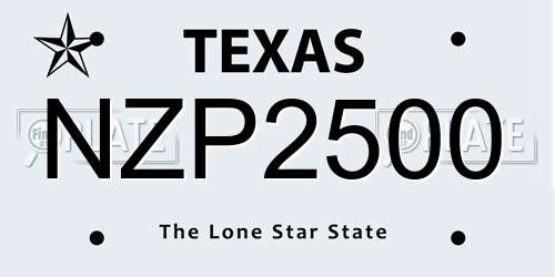 NZP2500 Texas License Plate