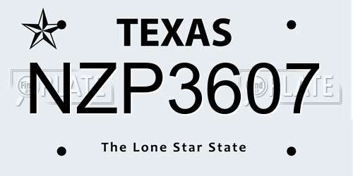 NZP3607 Texas License Plate