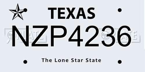 NZP4236 Texas License Plate