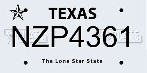 NZP4361 Texas License Plate