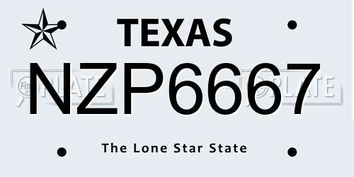 NZP6667 Texas License Plate