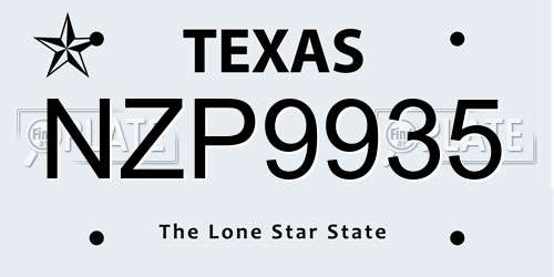 NZP9935 Texas License Plate