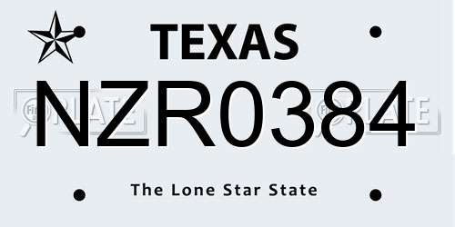NZR0384 Texas License Plate