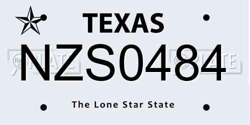 NZS0484 Texas License Plate