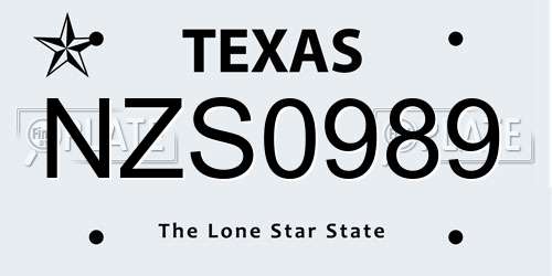 NZS0989 Texas License Plate