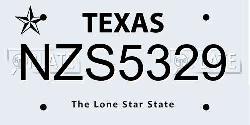 NZS5329 Texas License Plate