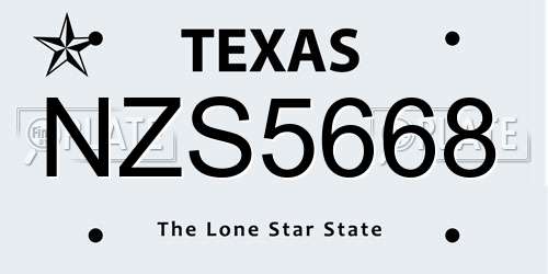 NZS5668 Texas License Plate