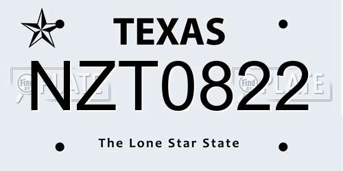 NZT0822 Texas License Plate