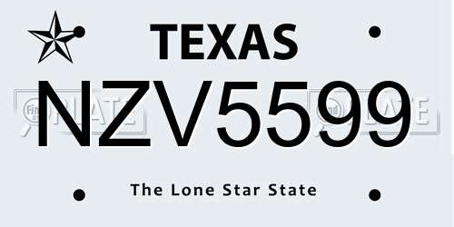 NZV5599 Texas License Plate