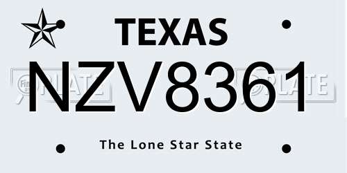 NZV8361 Texas License Plate