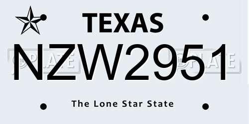 NZW2951 Texas License Plate