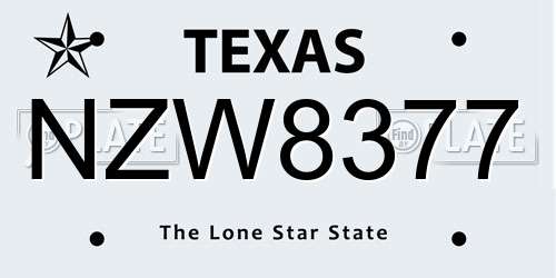 NZW8377 Texas License Plate