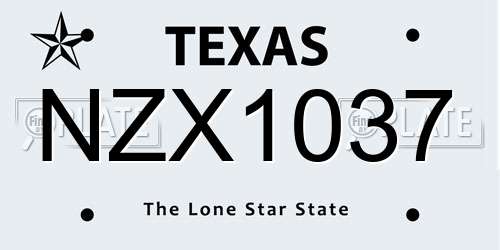 NZX1037 Texas License Plate