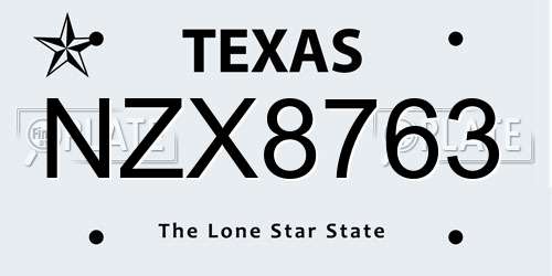 NZX8763 Texas License Plate
