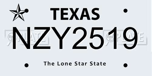 NZY2519 Texas License Plate