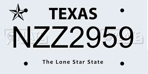 NZZ2959 Texas License Plate