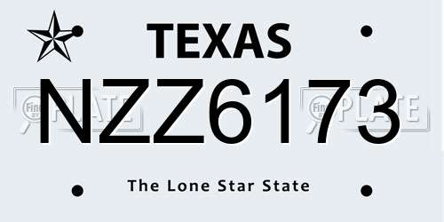 NZZ6173 Texas License Plate