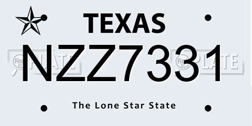 NZZ7331 Texas License Plate