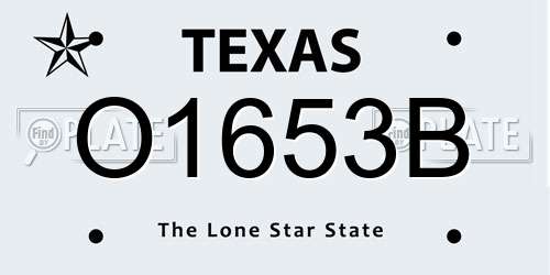 O1653B Texas License Plate