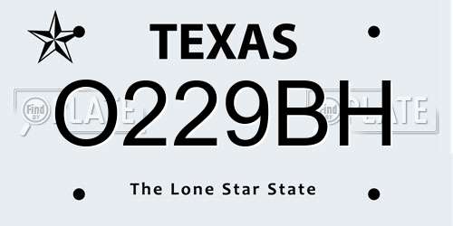 O229BH Texas License Plate