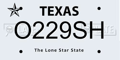 O229SH Texas License Plate