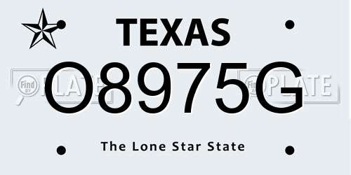 O8975G Texas License Plate