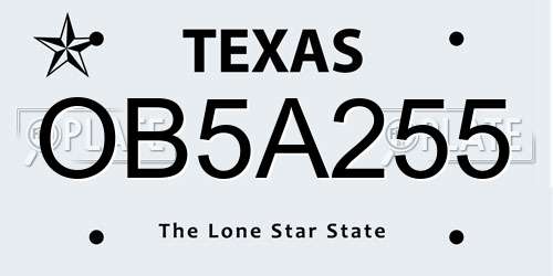 OB5A255 Texas License Plate