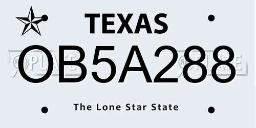 OB5A288 Texas License Plate