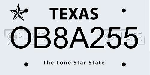OB8A255 Texas License Plate