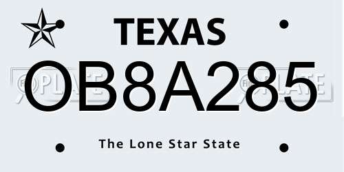OB8A285 Texas License Plate
