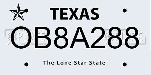 OB8A288 Texas License Plate