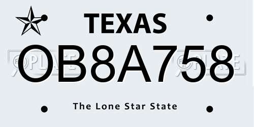 OB8A758 Texas License Plate