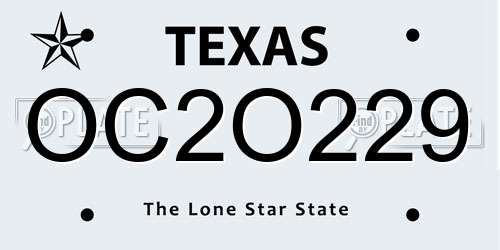 OC2O229 Texas License Plate
