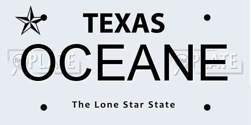 OCEANE Texas License Plate