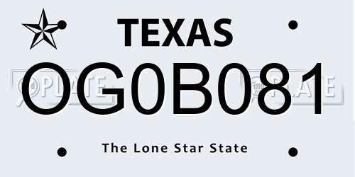 OG0B081 Texas License Plate