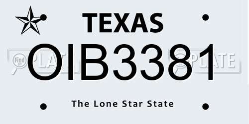OIB3381 Texas License Plate