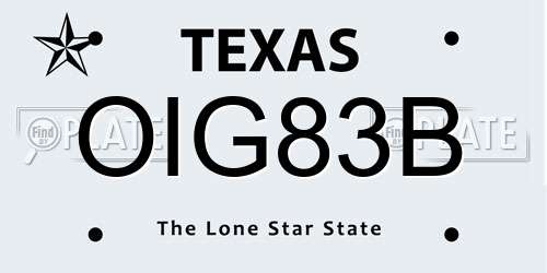 OIG83B Texas License Plate