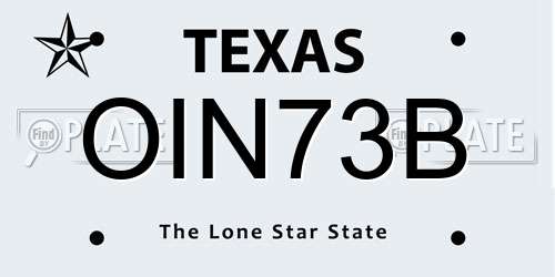 OIN73B Texas License Plate