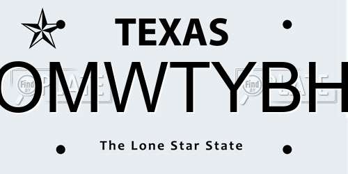 OMWTYBH Texas License Plate
