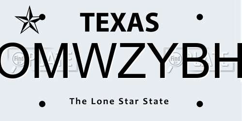 OMWZYBH Texas License Plate