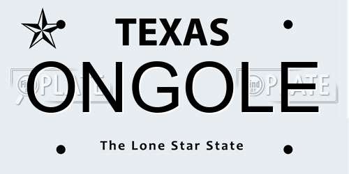 ONGOLE Texas License Plate
