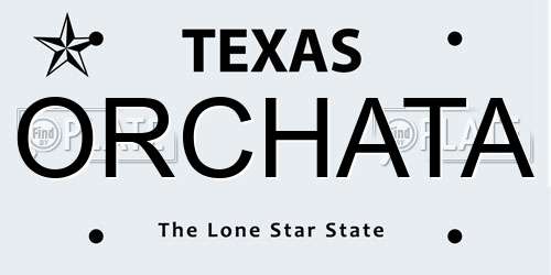 ORCHATA Texas License Plate