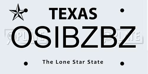 OSIBZBZ Texas License Plate