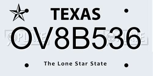 OV8B536 Texas License Plate