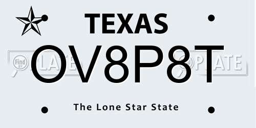 OV8P8T Texas License Plate