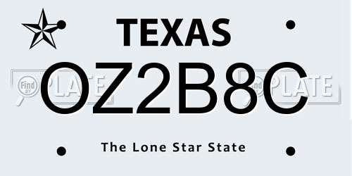 OZ2B8C Texas License Plate